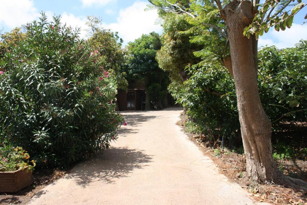 Finca El Vergel Rural Tegueste Екстериор снимка