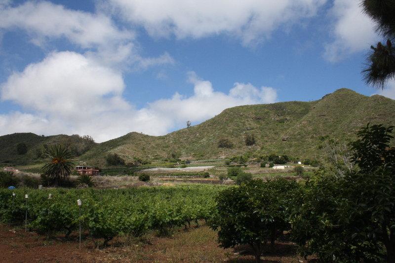 Finca El Vergel Rural Tegueste Екстериор снимка