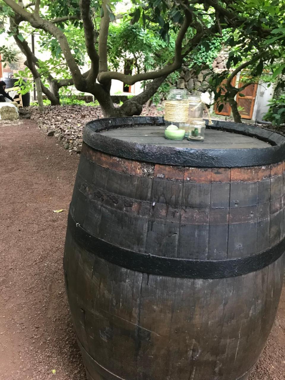 Finca El Vergel Rural Tegueste Екстериор снимка