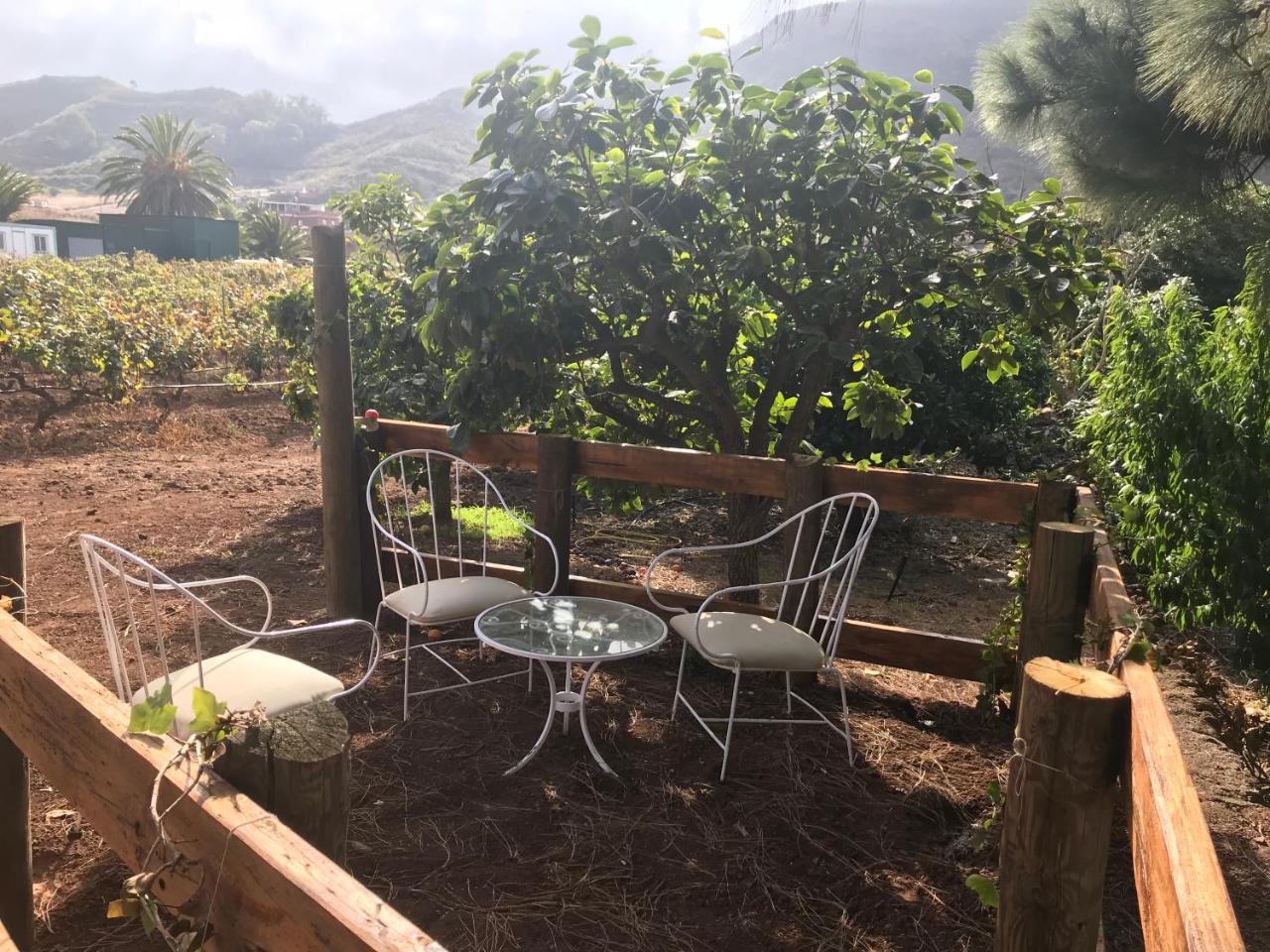 Finca El Vergel Rural Tegueste Екстериор снимка