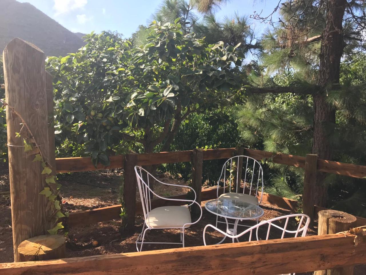 Finca El Vergel Rural Tegueste Екстериор снимка