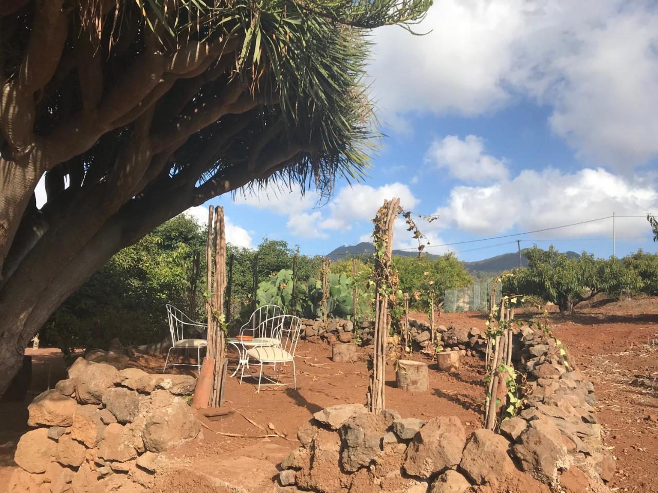 Finca El Vergel Rural Tegueste Екстериор снимка